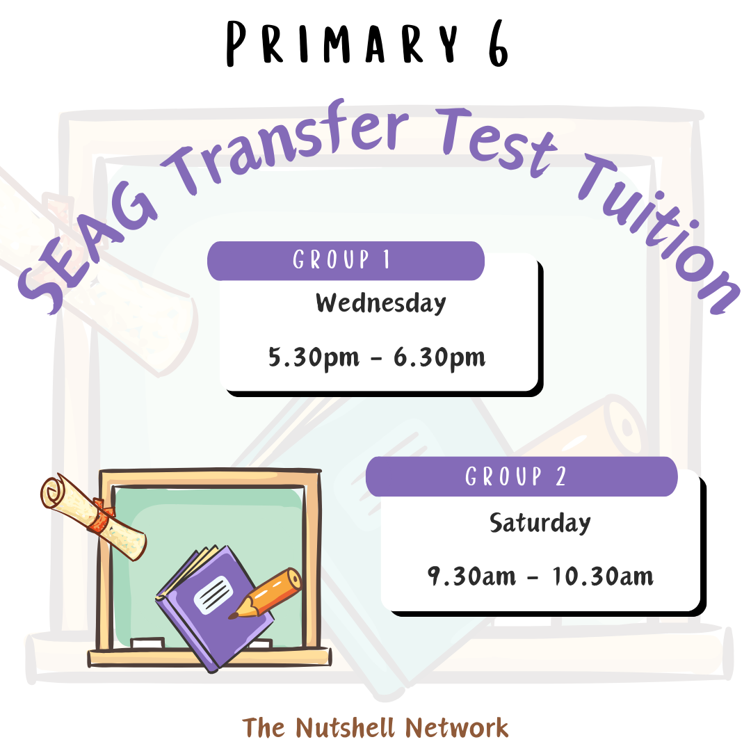Primary 6 SEAG Entrance Exam Preparation