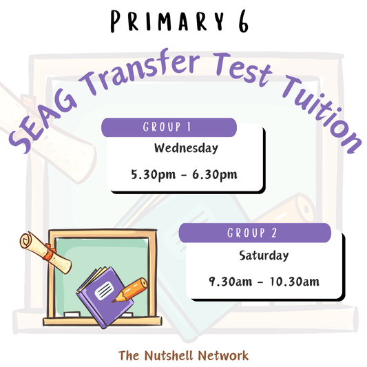 Primary 6 SEAG Entrance Exam Preparation