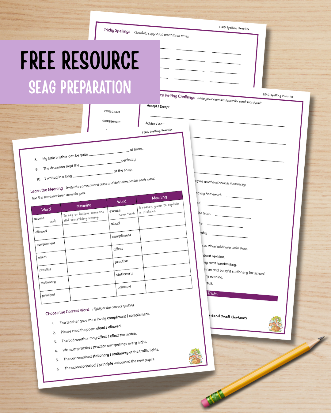 FREE SEAG Spelling Practice Workbook