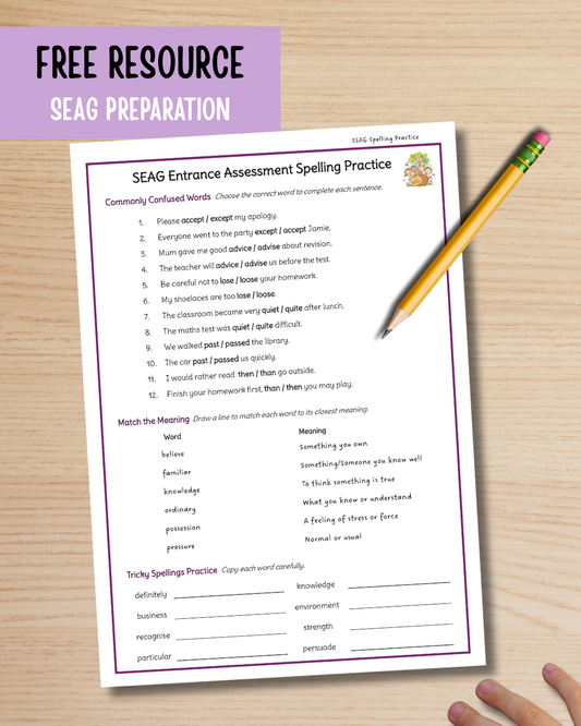 FREE SEAG Spelling Practice Workbook
